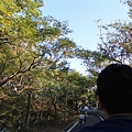 IMG_0939.JPG