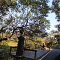 IMG_0944.JPG