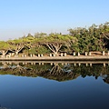 IMG_0955.JPG