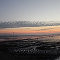 IMG_1032.JPG