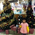 IMG_6791.jpg