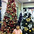 IMG_6805.jpg