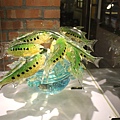 IMG_5306.JPG