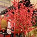 IMG_5405.JPG