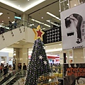 IMG_1546.JPG