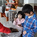 IMG_1823.JPG