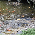 IMG_1976.JPG