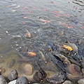 IMG_1990.JPG
