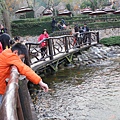 IMG_2032.JPG