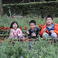 IMG_2156.JPG