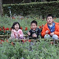 IMG_2157.JPG