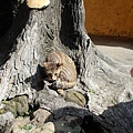 IMG_2463.JPG