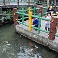 IMG_2556.JPG
