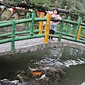 IMG_2563.JPG