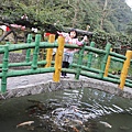 IMG_2566.JPG