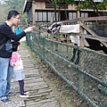 IMG_2602.JPG