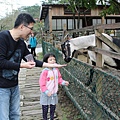 IMG_2607.JPG