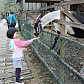 IMG_2610.JPG