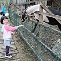 IMG_2612.JPG