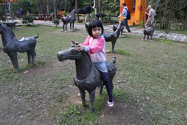 IMG_2660.JPG