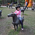 IMG_2660.JPG