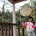 IMG_2678.JPG