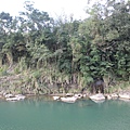 IMG_2756.JPG