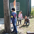 IMG_2799.JPG
