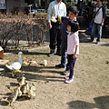 IMG_2812.JPG