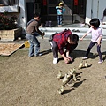 IMG_2832.JPG