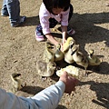 IMG_2836.JPG
