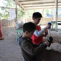 IMG_2866.JPG