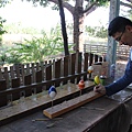 IMG_2910.JPG