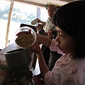 IMG_2934.JPG