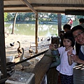 IMG_2943.JPG
