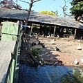 IMG_2954.JPG