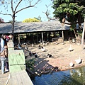 IMG_2957.JPG