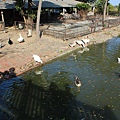 IMG_2958.JPG