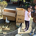 IMG_2994.JPG