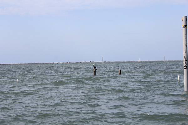 IMG_3999.JPG