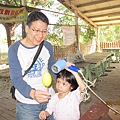493118490.jpg
