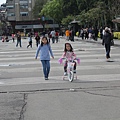 IMG_4185.JPG