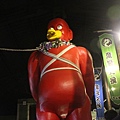 IMG_4349.JPG