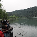 IMG_4511.JPG