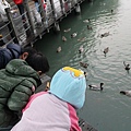 IMG_4527.JPG