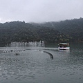 IMG_4536.JPG