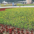 IMG_4634.JPG