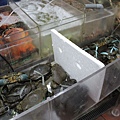 IMG_4791.JPG