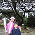IMG_4888.JPG
