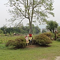 IMG_5018.JPG
